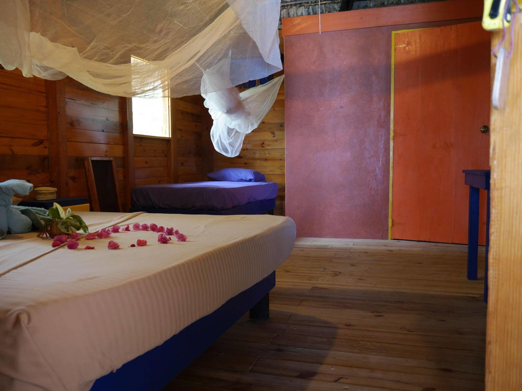 Boukan Guinguette Hotel Mole-Saint-Nicolas Buitenkant foto